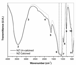 fig 10 ftir nz
