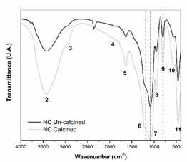 fig 10 ftir nc